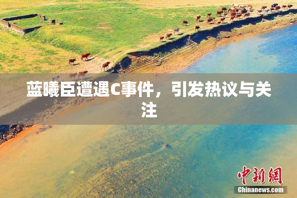 蓝曦臣遭遇C事件，引发热议与关注