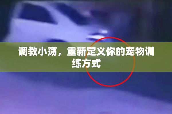 调教小荡，重新定义你的宠物训练方式