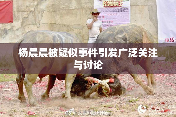 杨晨晨被疑似事件引发广泛关注与讨论