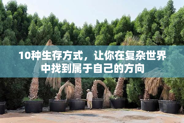 10种生存方式，让你在复杂世界中找到属于自己的方向