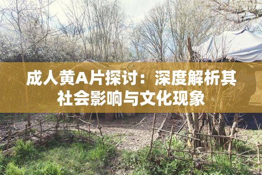 成人黄A片探讨：深度解析其社会影响与文化现象