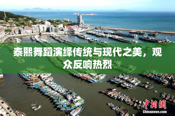 泰熙舞蹈演绎传统与现代之美，观众反响热烈