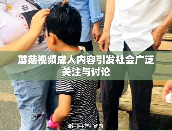蘑菇视频成人内容引发社会广泛关注与讨论