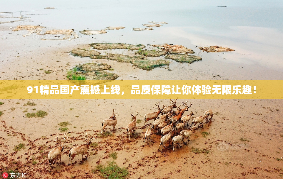 91精品国产震撼上线，品质保障让你体验无限乐趣！