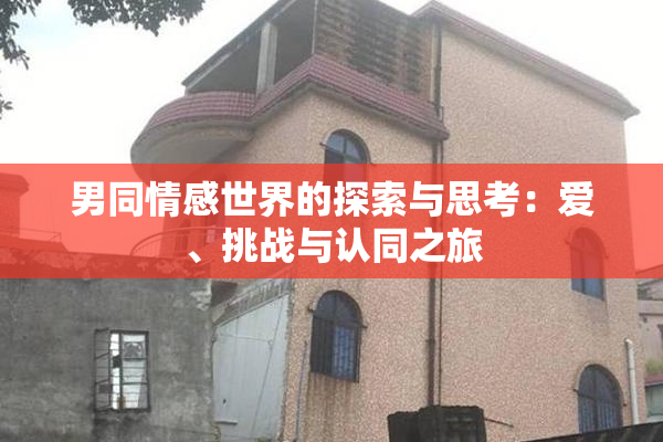 男同情感世界的探索与思考：爱、挑战与认同之旅