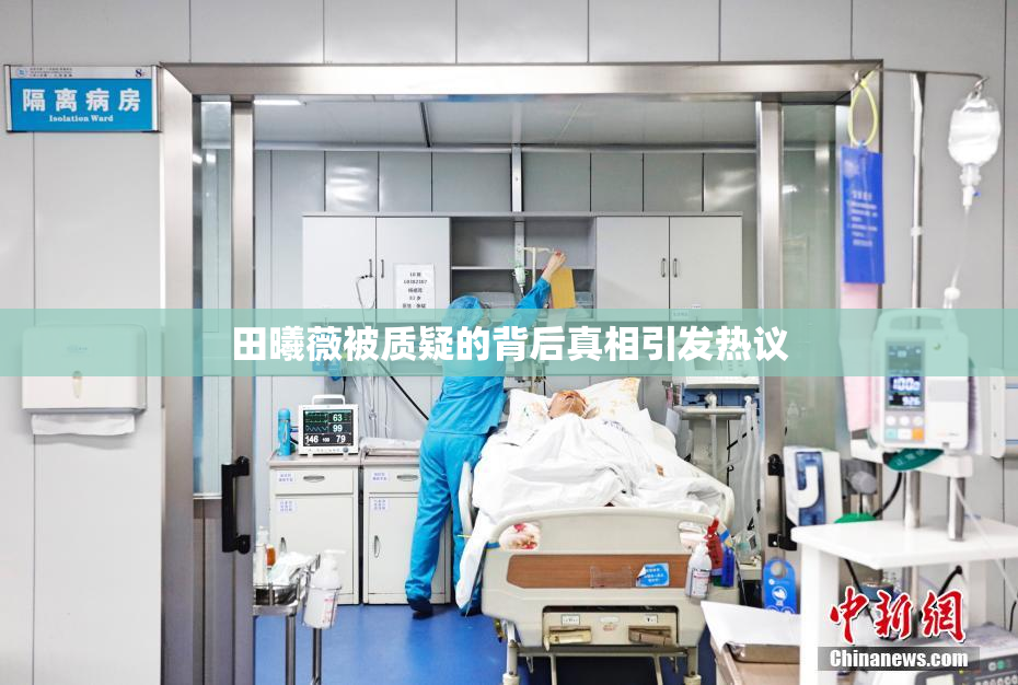 田曦薇被质疑的背后真相引发热议