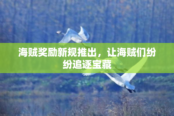海贼奖励新规推出，让海贼们纷纷追逐宝藏