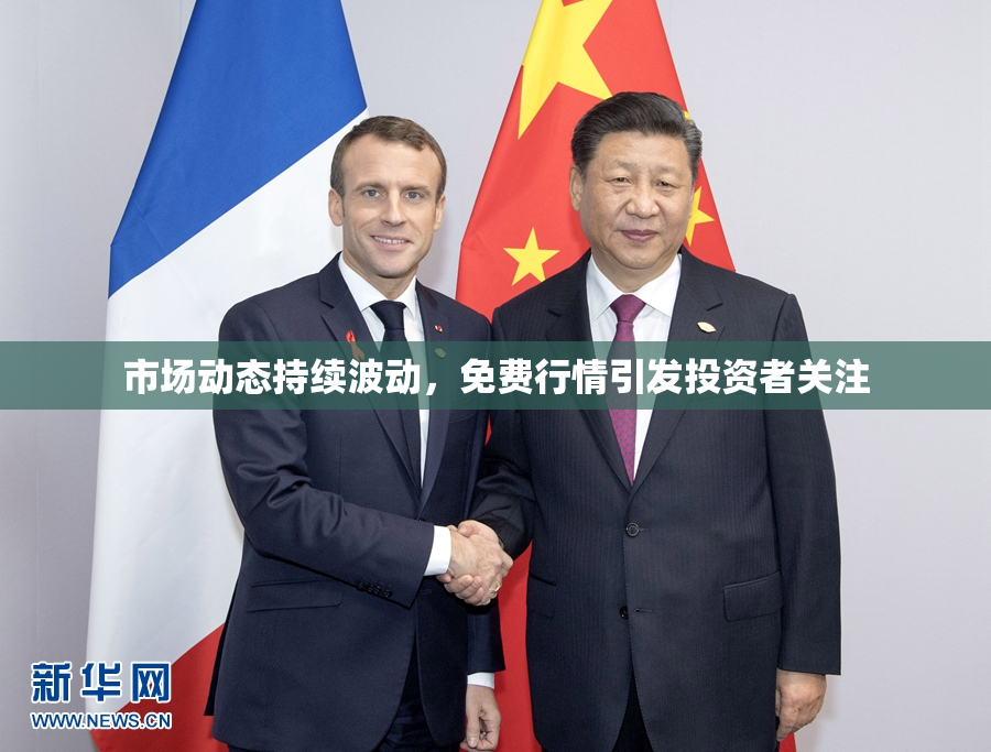 市场动态持续波动，免费行情引发投资者关注