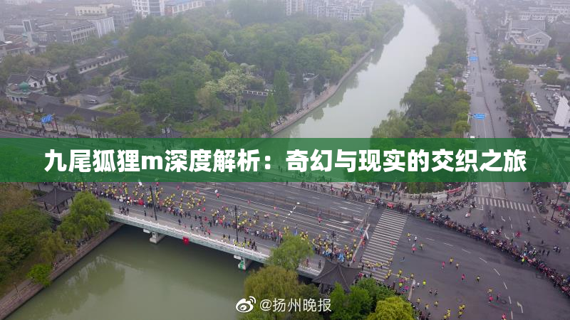 九尾狐狸m深度解析：奇幻与现实的交织之旅