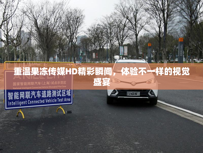 重温果冻传媒HD精彩瞬间，体验不一样的视觉盛宴