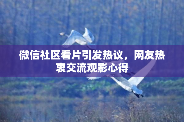 微信社区看片引发热议，网友热衷交流观影心得