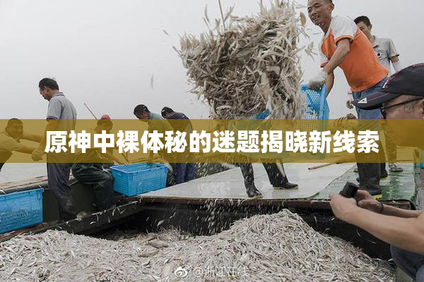 原神中裸体秘的迷题揭晓新线索