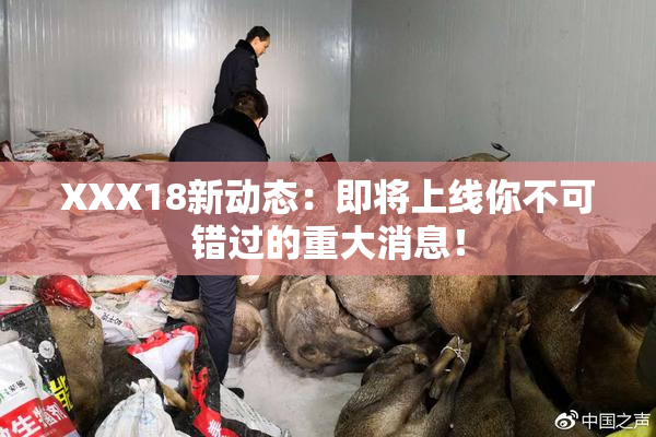 XXX18新动态：即将上线你不可错过的重大消息！