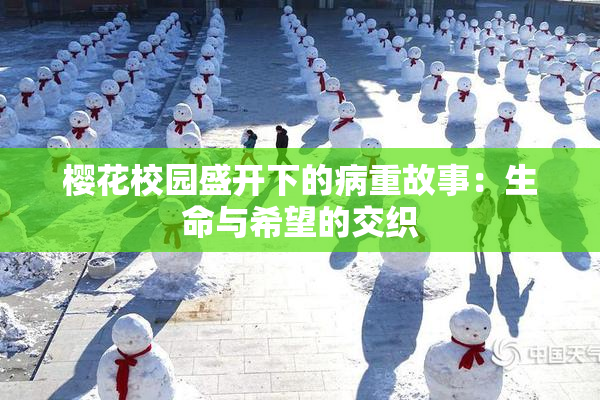 樱花校园盛开下的病重故事：生命与希望的交织