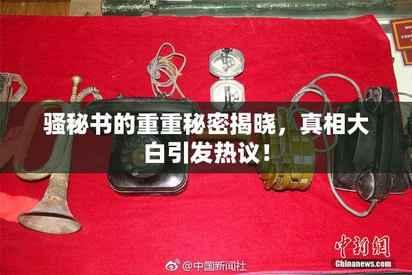 骚秘书的重重秘密揭晓，真相大白引发热议！