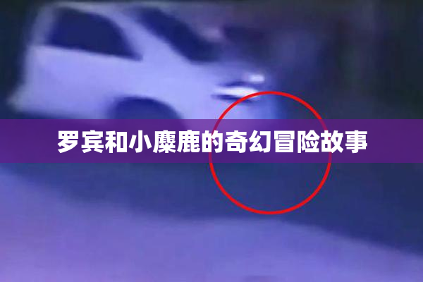 罗宾和小麋鹿的奇幻冒险故事