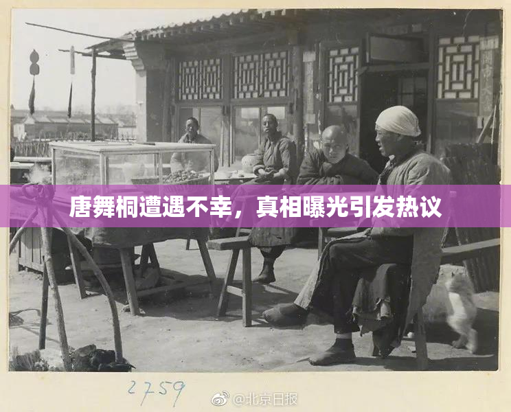 唐舞桐遭遇不幸，真相曝光引发热议