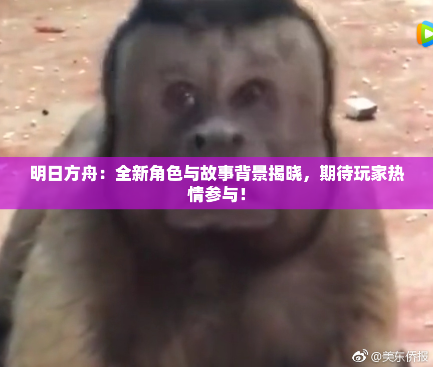 明日方舟：全新角色与故事背景揭晓，期待玩家热情参与！