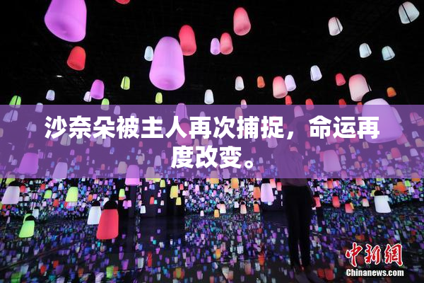 沙奈朵被主人再次捕捉，命运再度改变。