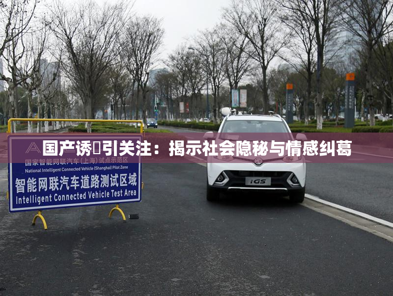 国产诱奷引关注：揭示社会隐秘与情感纠葛