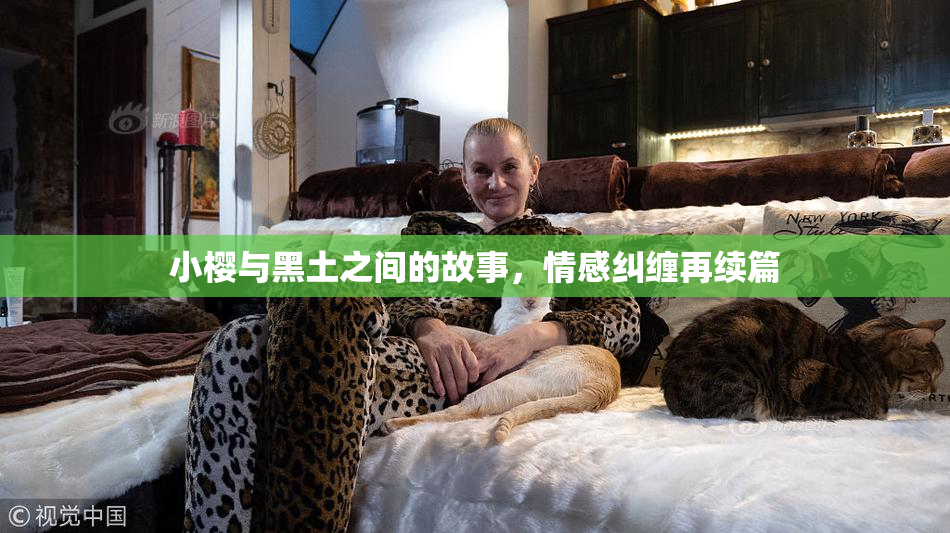 小樱与黑土之间的故事，情感纠缠再续篇