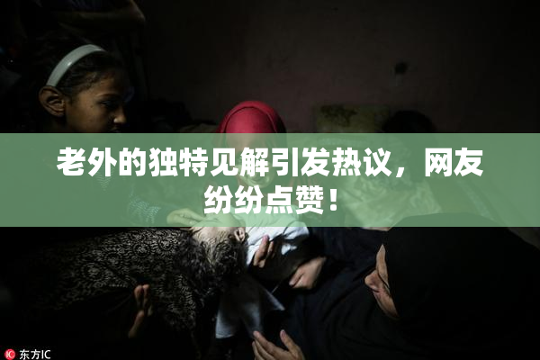 老外的独特见解引发热议，网友纷纷点赞！