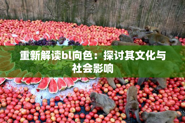 重新解读bl向色：探讨其文化与社会影响