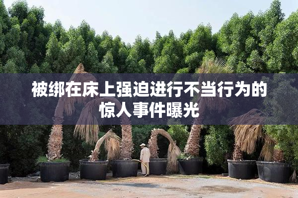 被绑在床上强迫进行不当行为的惊人事件曝光
