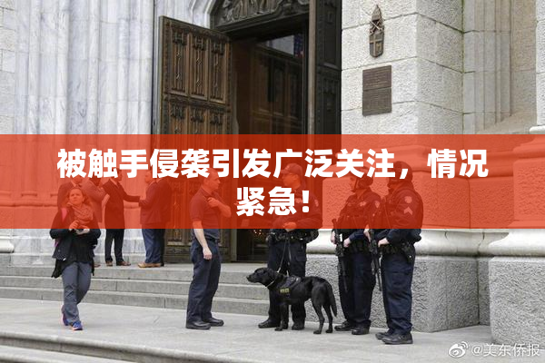 被触手侵袭引发广泛关注，情况紧急！