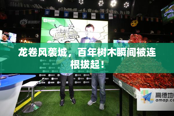 龙卷风袭城，百年树木瞬间被连根拔起！