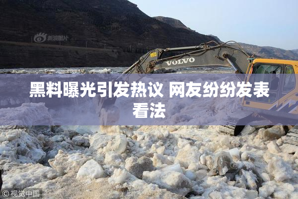 黑料曝光引发热议 网友纷纷发表看法