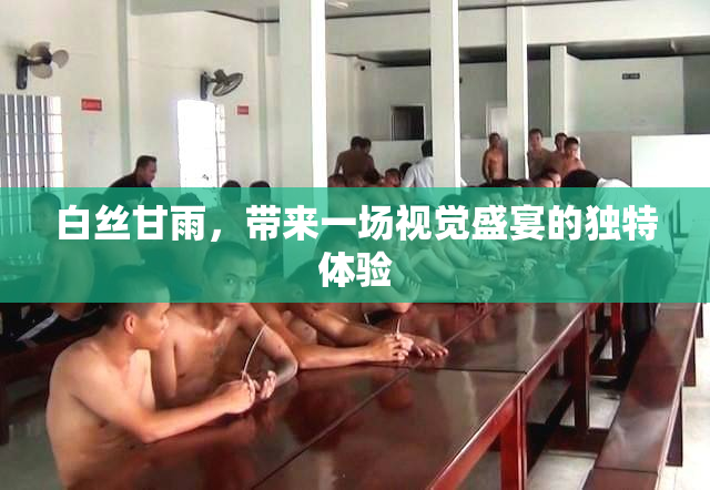 白丝甘雨，带来一场视觉盛宴的独特体验