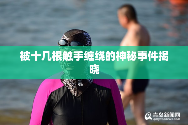 被十几根触手缠绕的神秘事件揭晓