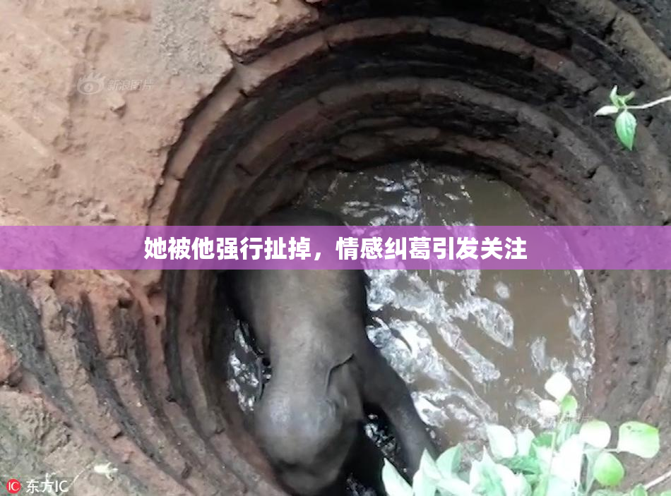 她被他强行扯掉，情感纠葛引发关注
