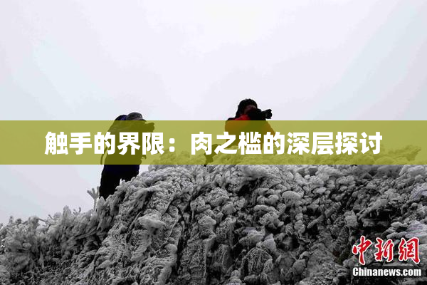 触手的界限：肉之槛的深层探讨