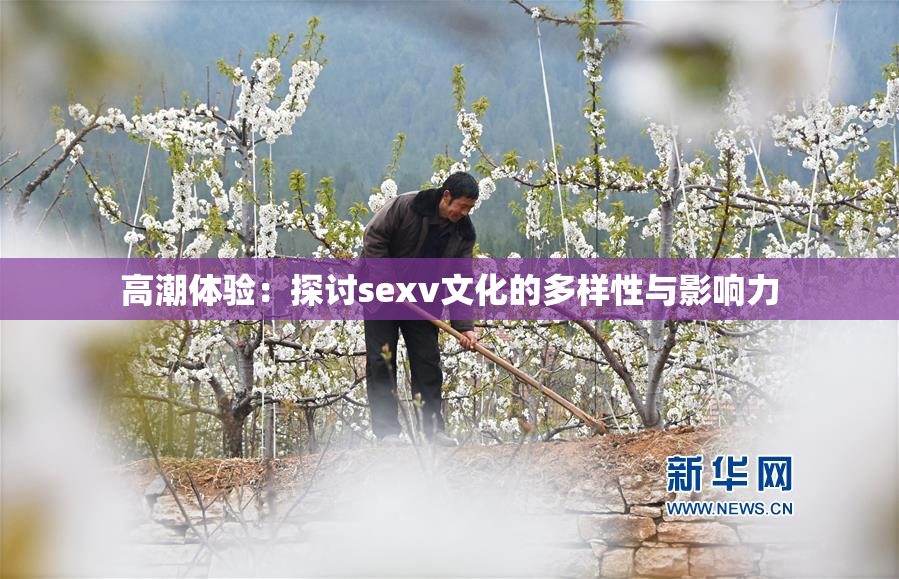 高潮体验：探讨sexv文化的多样性与影响力