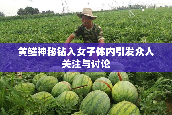 黄鳝神秘钻入女子体内引发众人关注与讨论