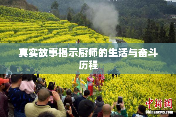 真实故事揭示厨师的生活与奋斗历程