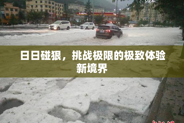 日日碰狠，挑战极限的极致体验新境界