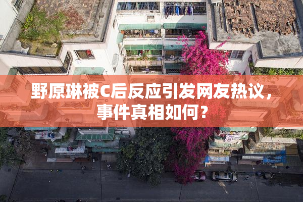 野原琳被C后反应引发网友热议，事件真相如何？