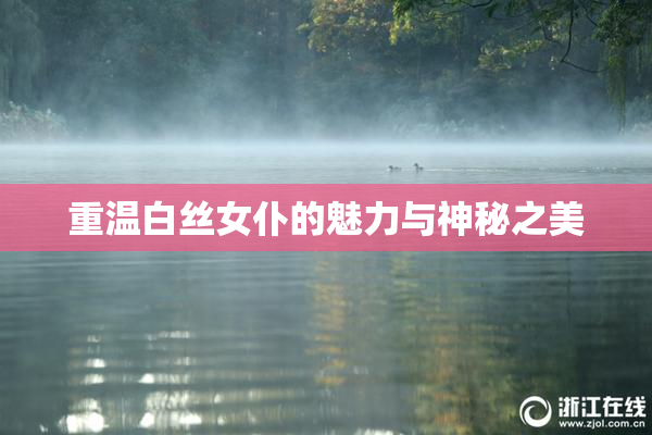 重温白丝女仆的魅力与神秘之美