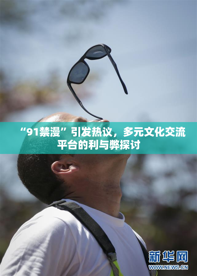 “91禁漫”引发热议，多元文化交流平台的利与弊探讨