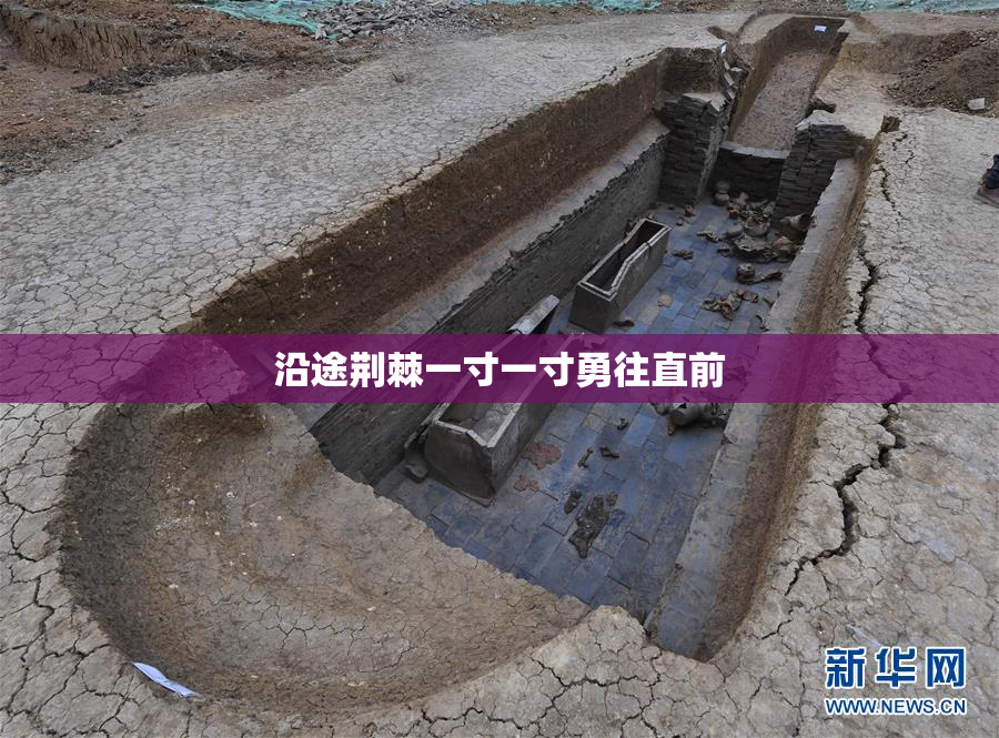 沿途荆棘一寸一寸勇往直前