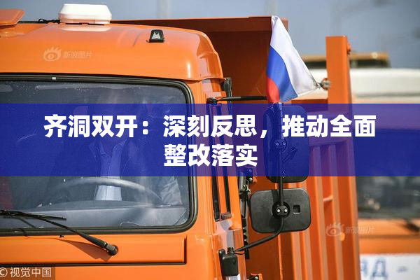 齐洞双开：深刻反思，推动全面整改落实