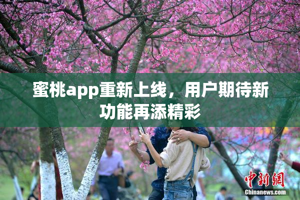 蜜桃app重新上线，用户期待新功能再添精彩