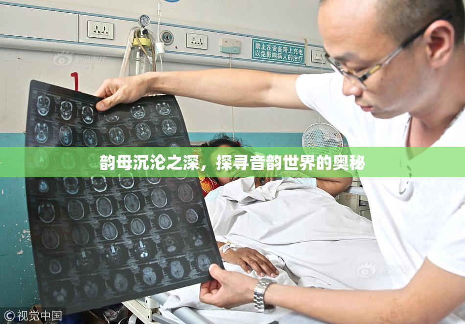 韵母沉沦之深，探寻音韵世界的奥秘