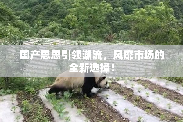 国产思思引领潮流，风靡市场的全新选择！