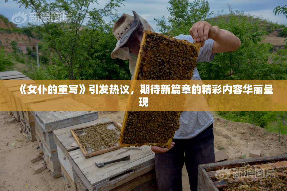 《女仆的重写》引发热议，期待新篇章的精彩内容华丽呈现