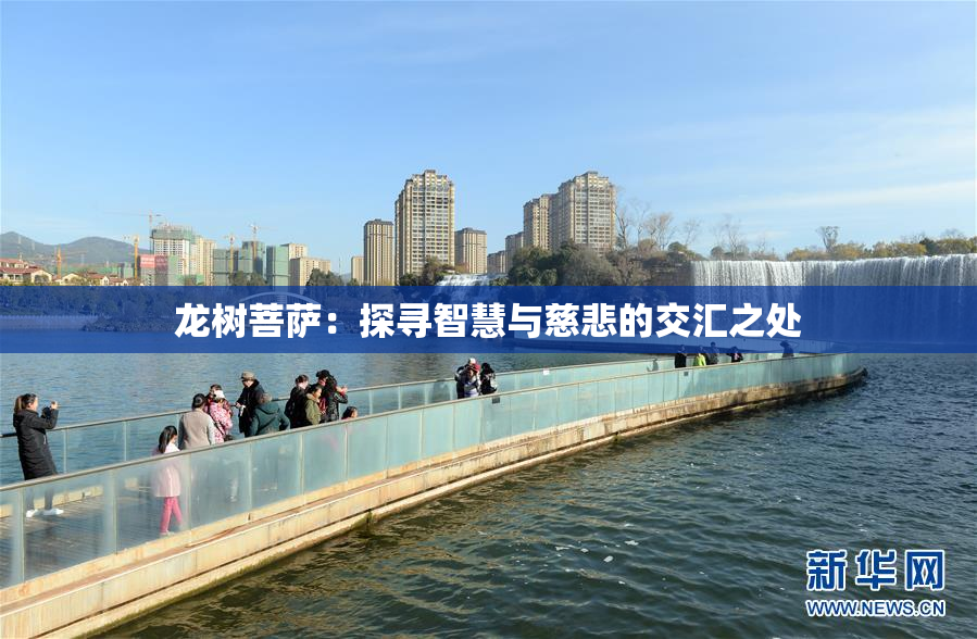 龙树菩萨：探寻智慧与慈悲的交汇之处