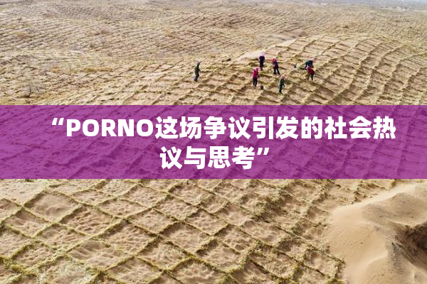 “PORNO这场争议引发的社会热议与思考”